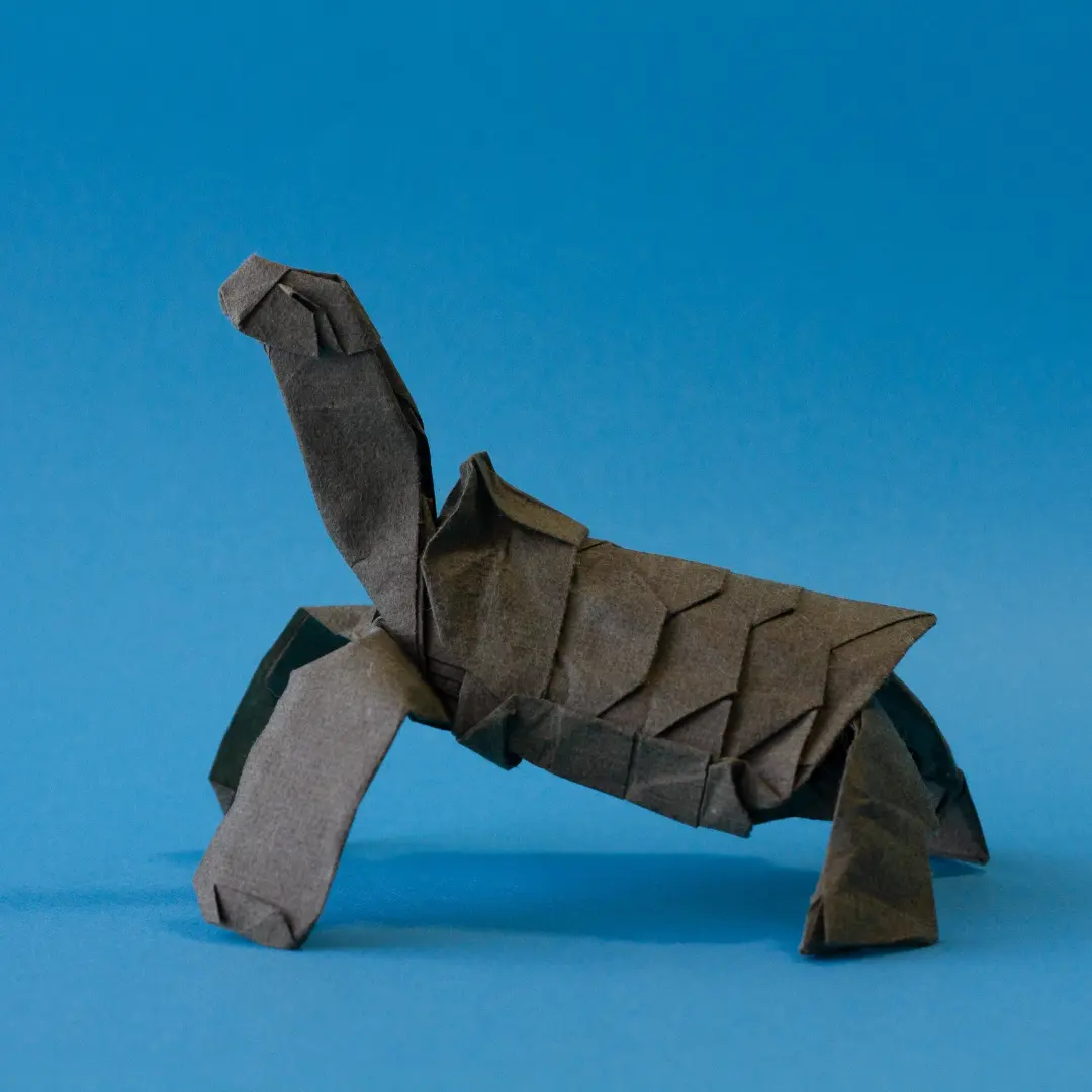 Galápagos Giant Tortoise — Finished model