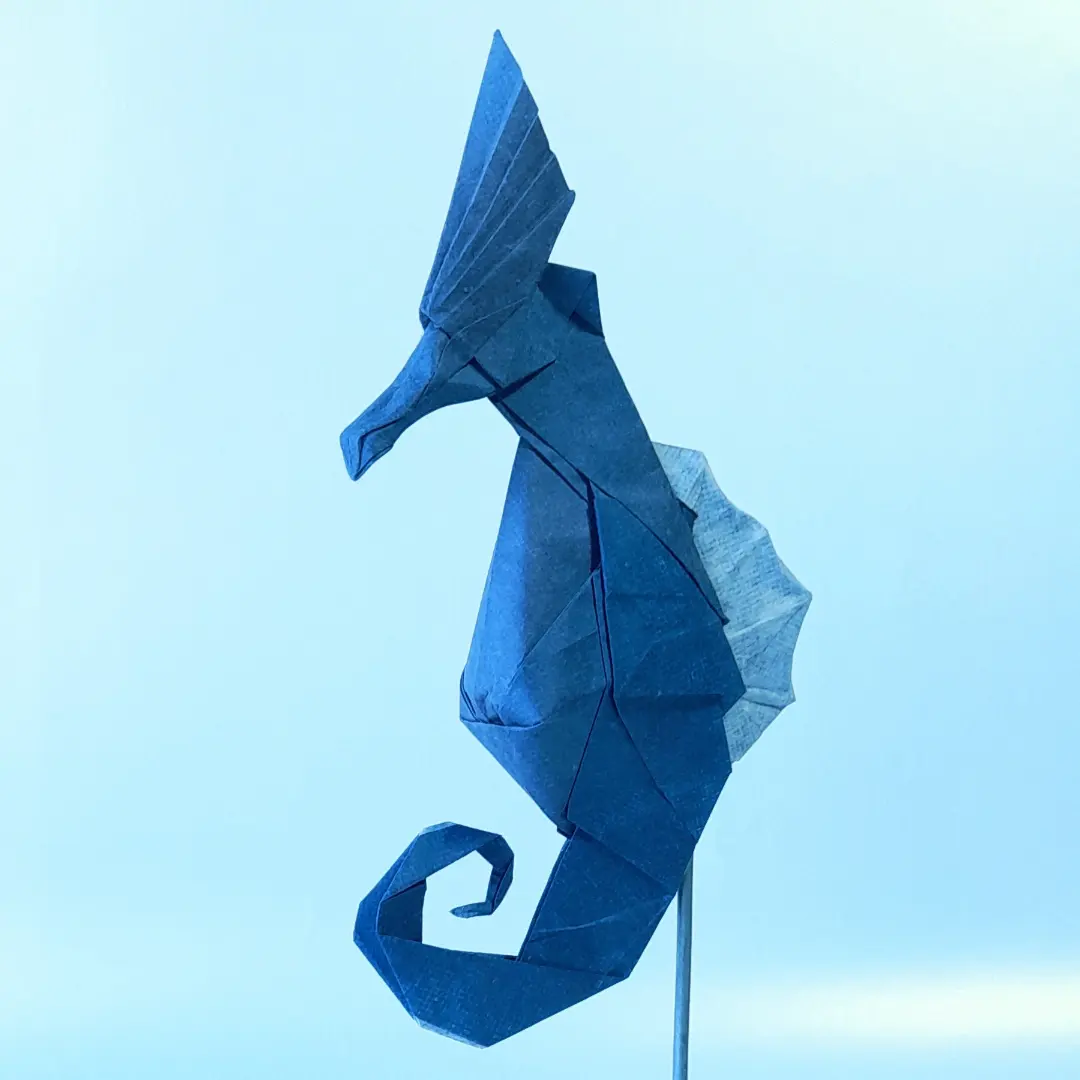 Seahorse 2.0 — Finished model