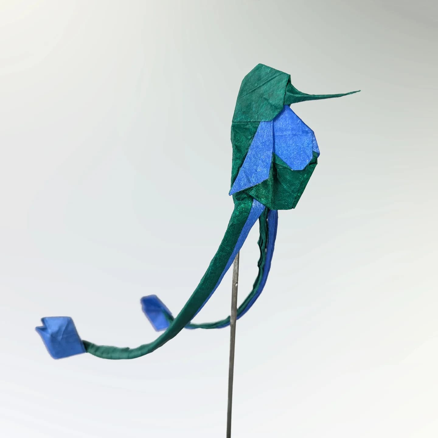 White-booted Racket-tail — Finished model