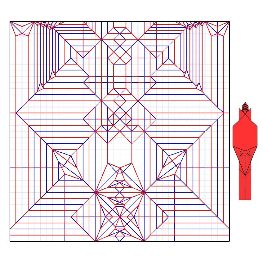 Callichimaera perplexa — Crease pattern