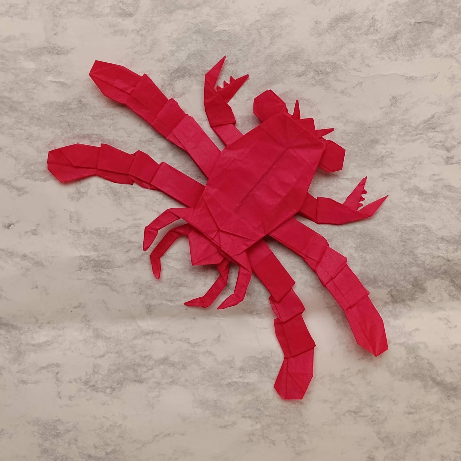 Callichimaera perplexa — Finished model