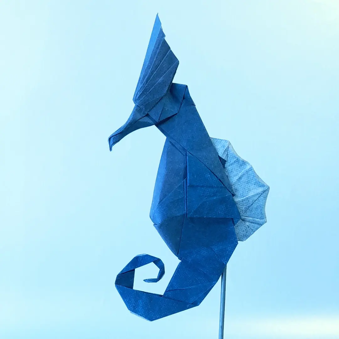Seahorse 2.0 — Finished model