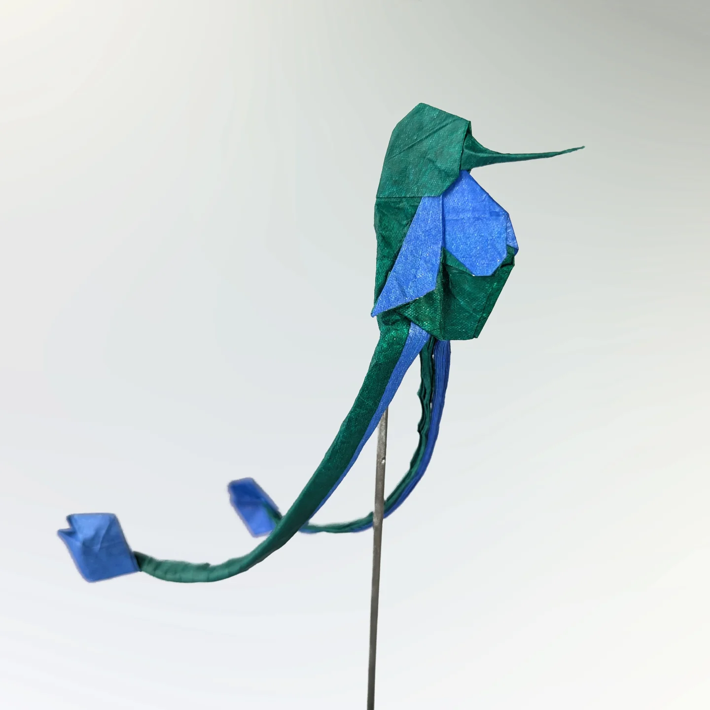 White-booted Racket-tail — Finished model